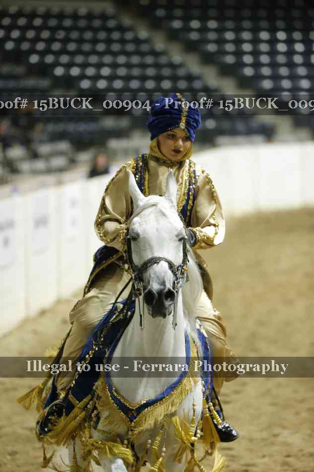 Proof 15BUCK_00904