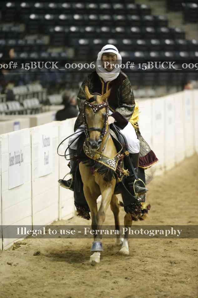 Proof 15BUCK_00906