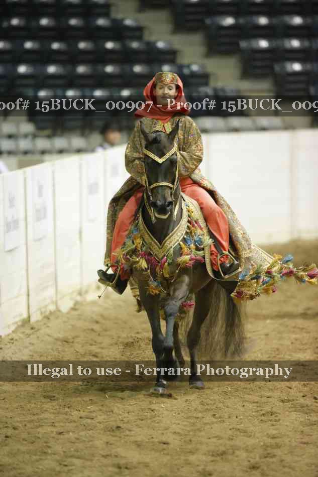 Proof 15BUCK_00907