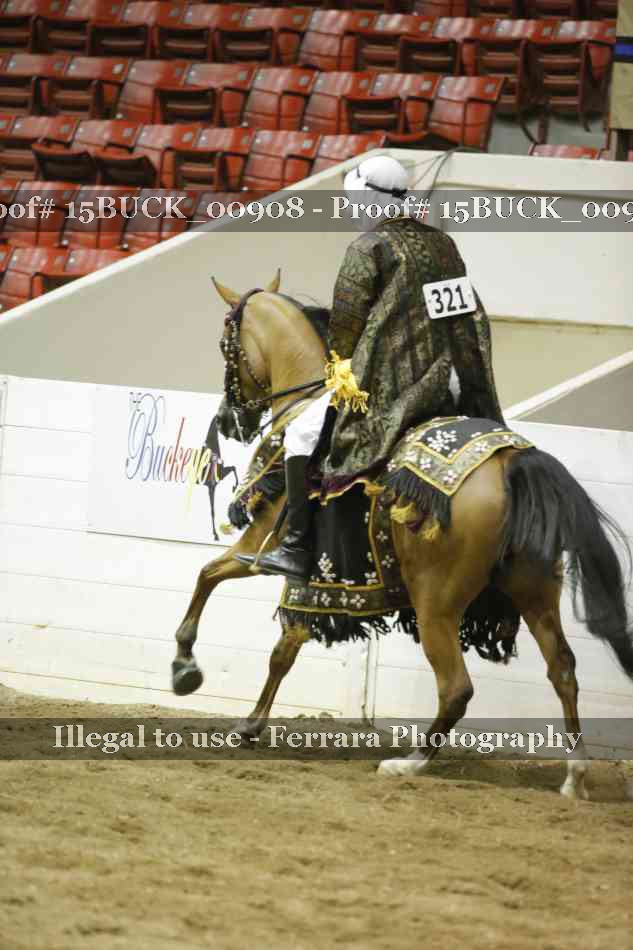 Proof 15BUCK_00908