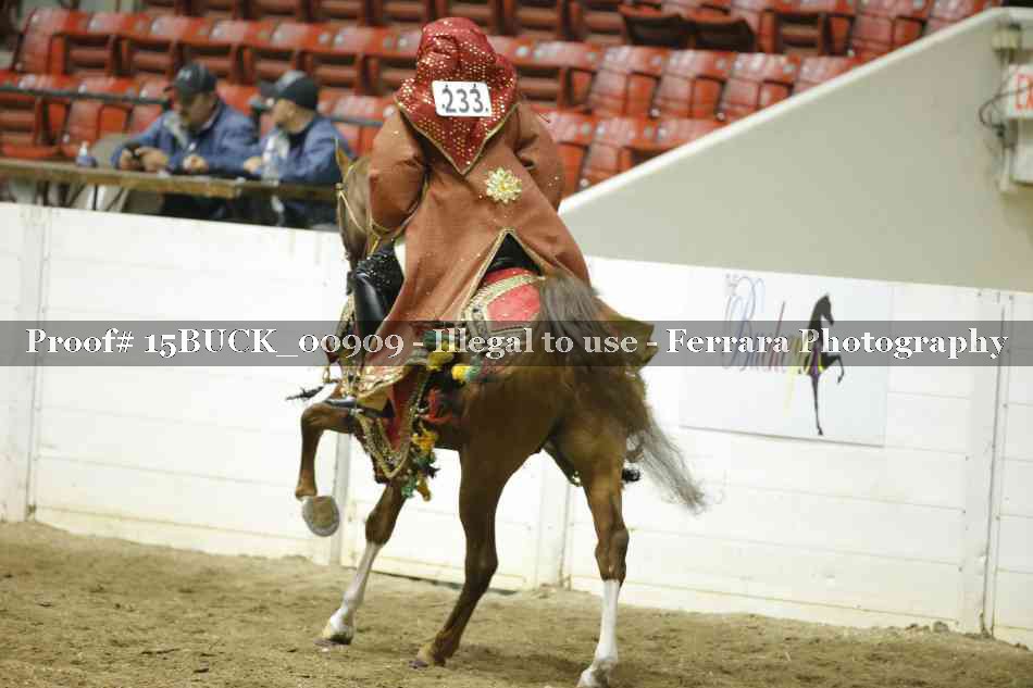 Proof 15BUCK_00909