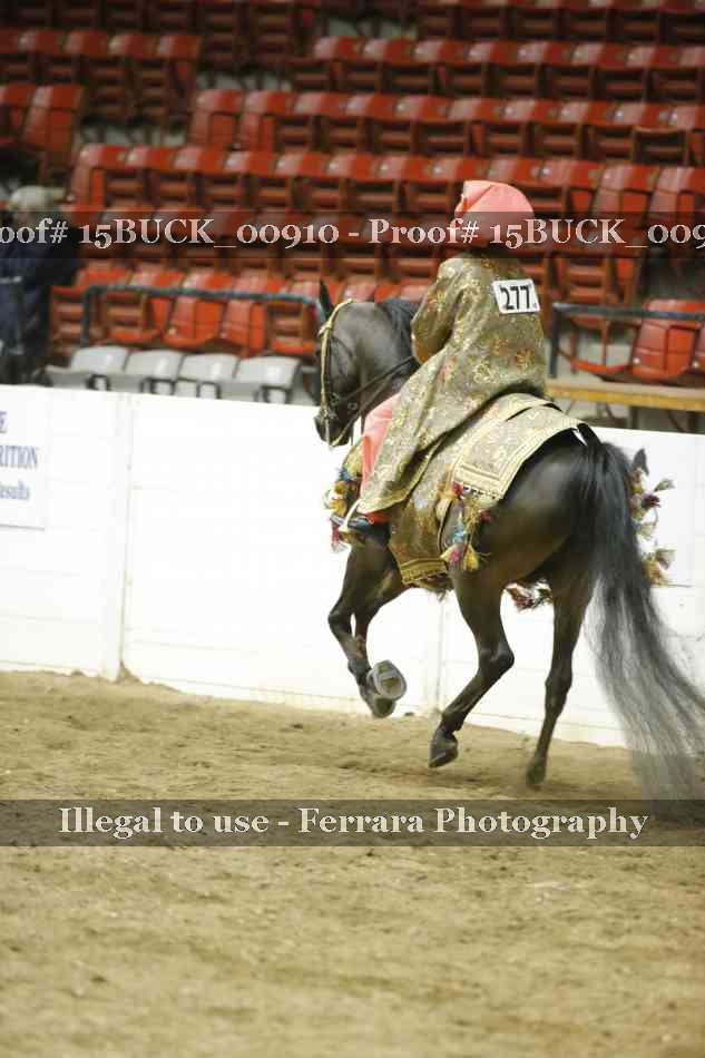 Proof 15BUCK_00910