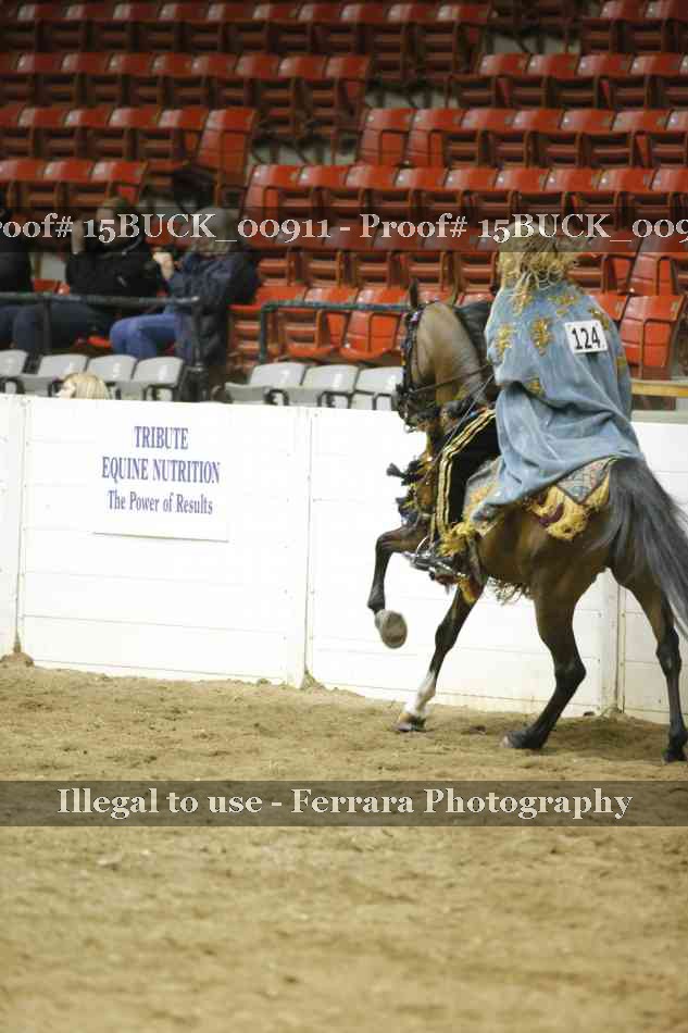 Proof 15BUCK_00911