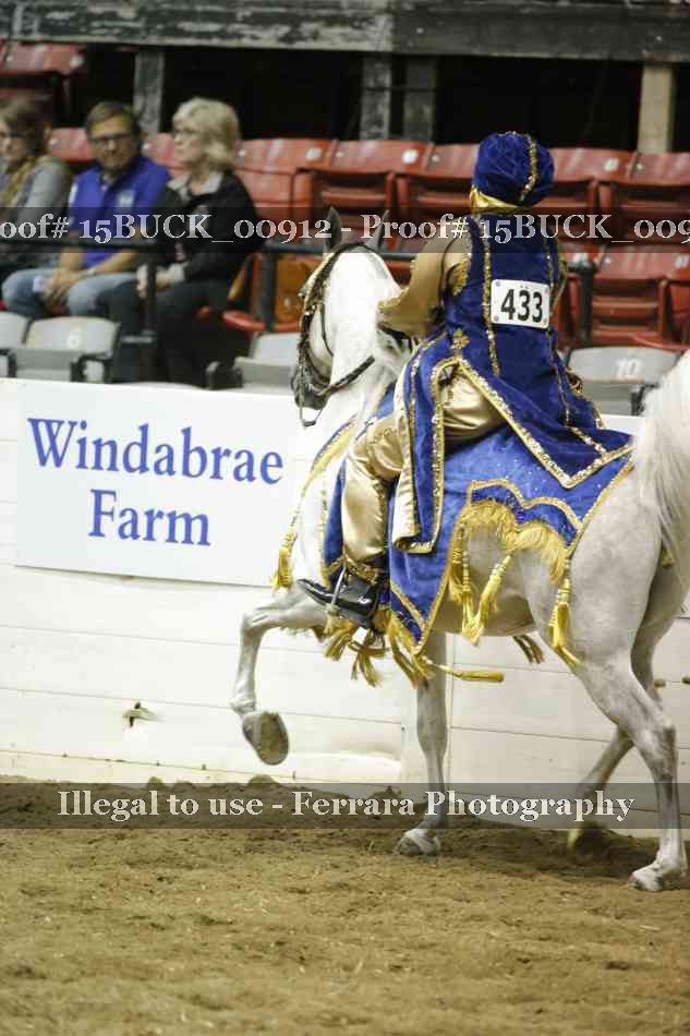 Proof 15BUCK_00912