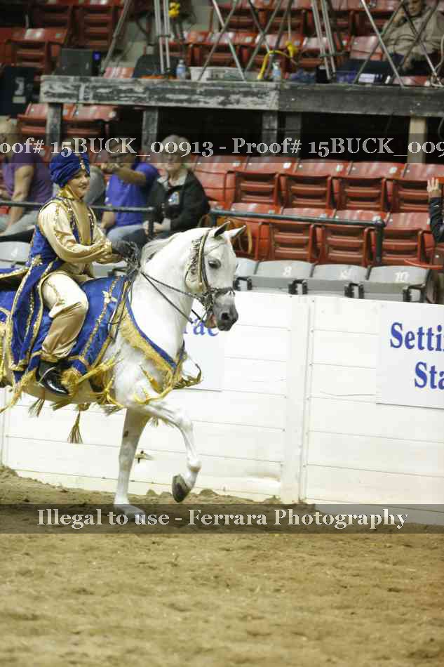 Proof 15BUCK_00913