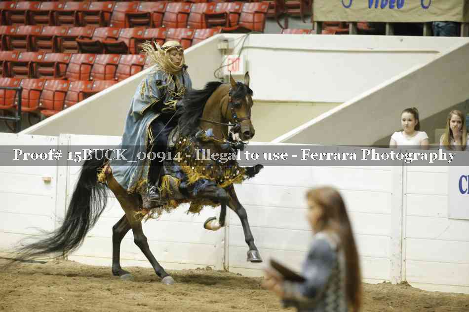 Proof 15BUCK_00914