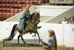 15BUCK_00914 proof