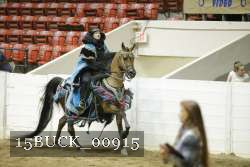 15BUCK_00915 proof