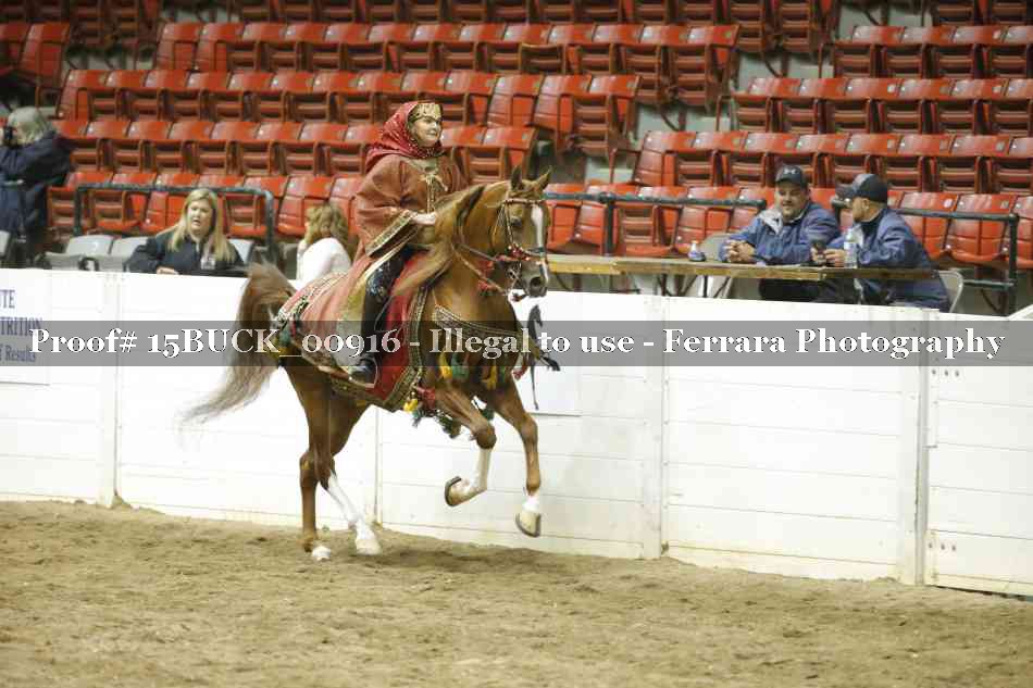 Proof 15BUCK_00916