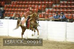 15BUCK_00916 proof