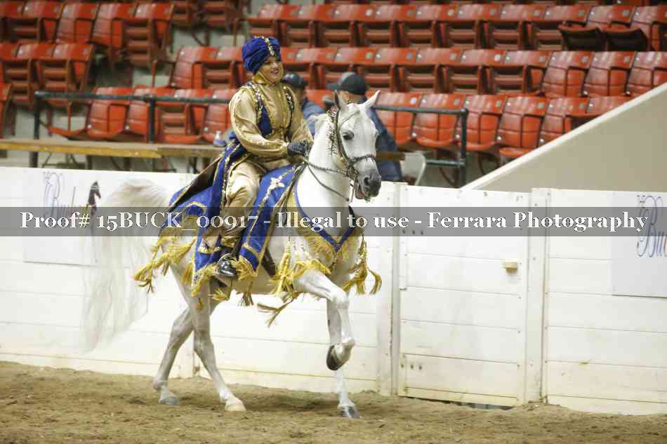 Proof 15BUCK_00917