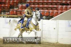 15BUCK_00917 proof