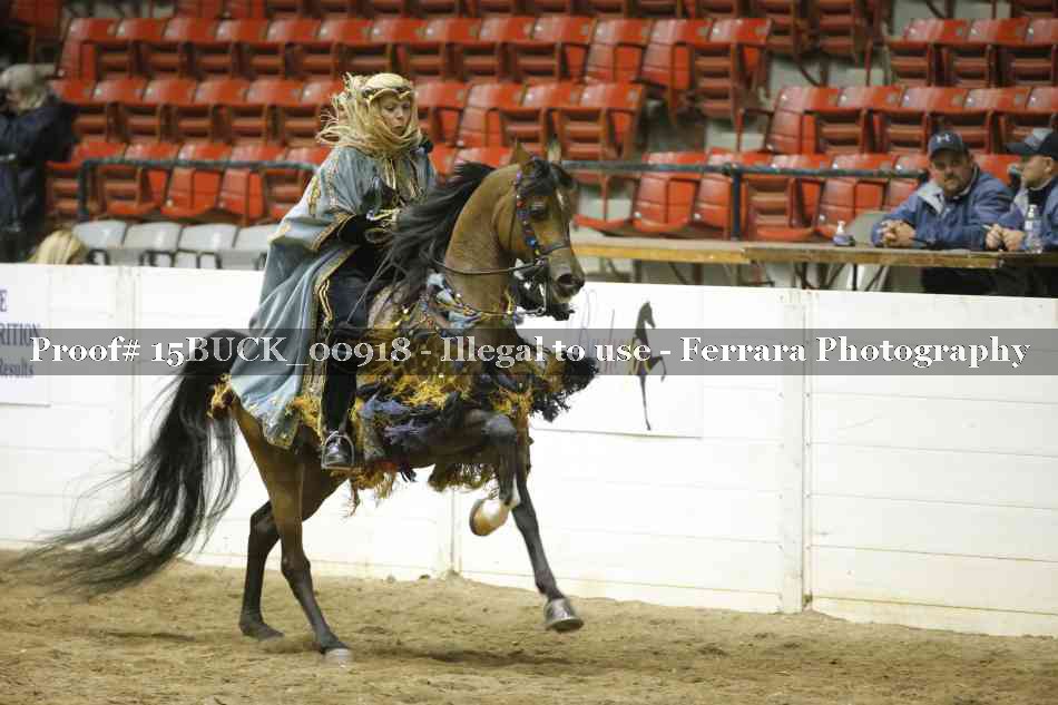 Proof 15BUCK_00918