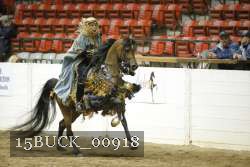 15BUCK_00918 proof