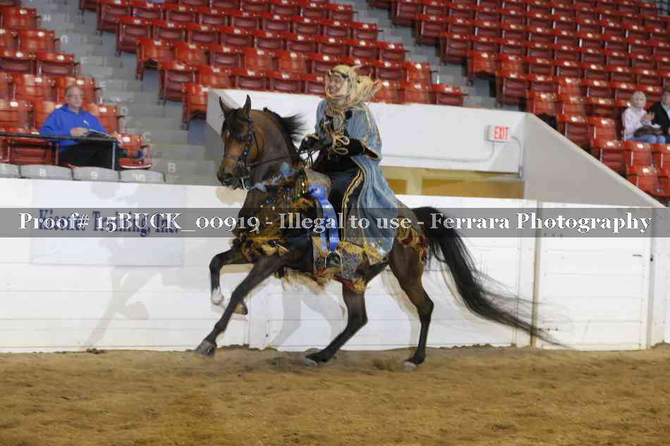 Proof 15BUCK_00919