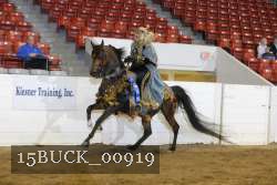 15BUCK_00919 proof