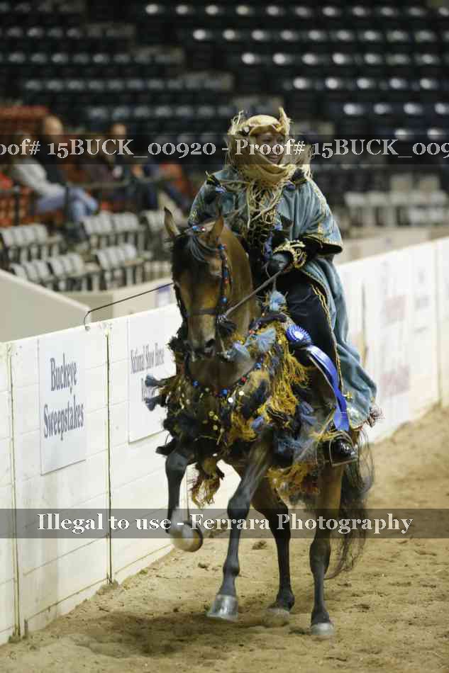 Proof 15BUCK_00920