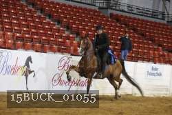 15BUCK_01055 proof