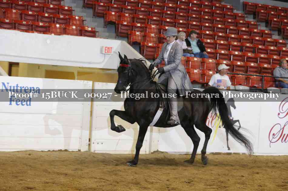 Proof 15BUCK_00927