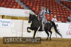 15BUCK_00927 proof