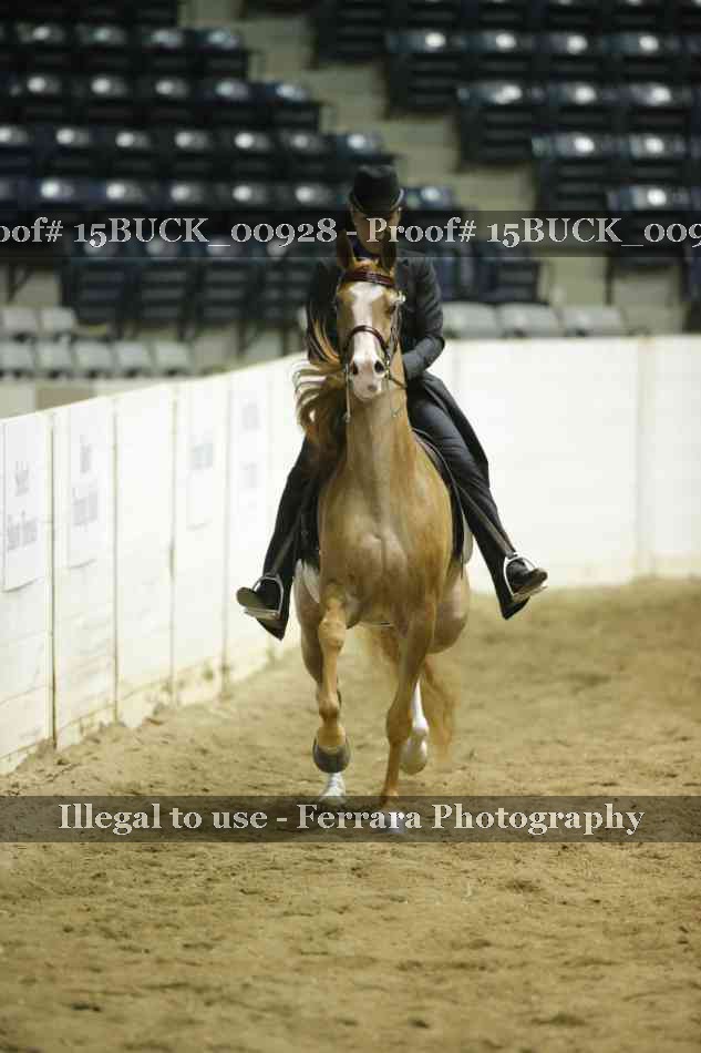 Proof 15BUCK_00928