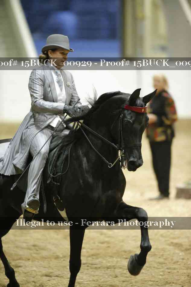 Proof 15BUCK_00929
