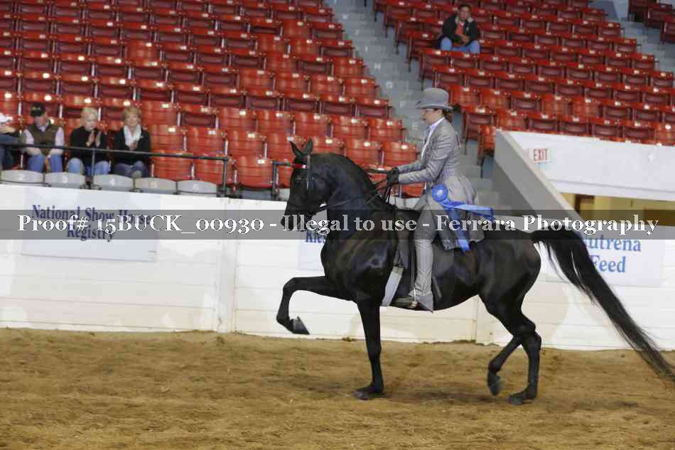Proof 15BUCK_00930