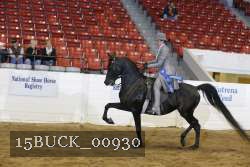 15BUCK_00930 proof
