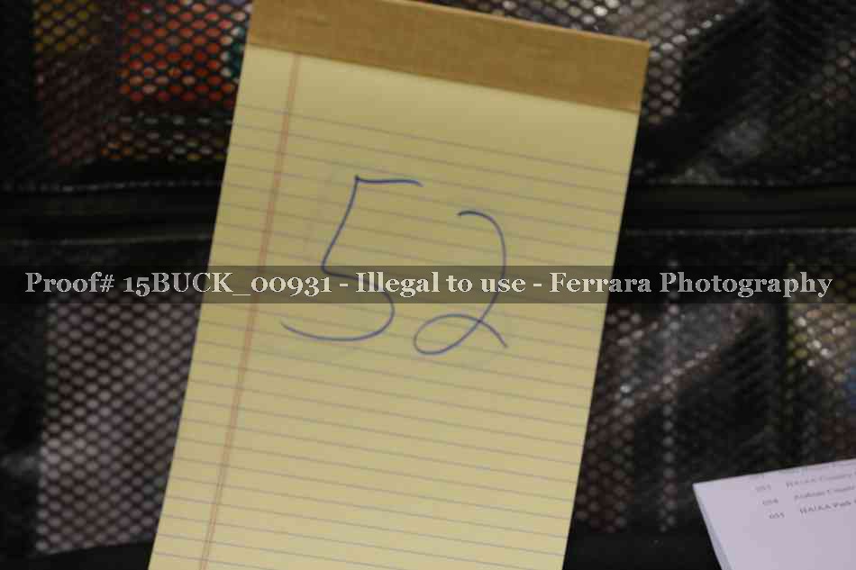 Proof 15BUCK_00931