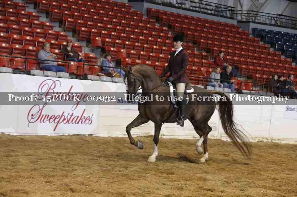 Proof 15BUCK_00932