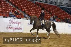 15BUCK_00932 proof