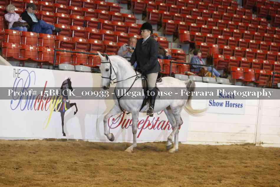 Proof 15BUCK_00933