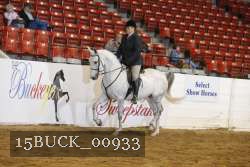 15BUCK_00933 proof