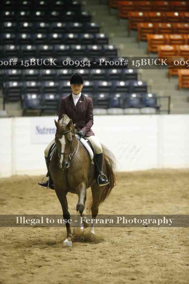 Proof 15BUCK_00934