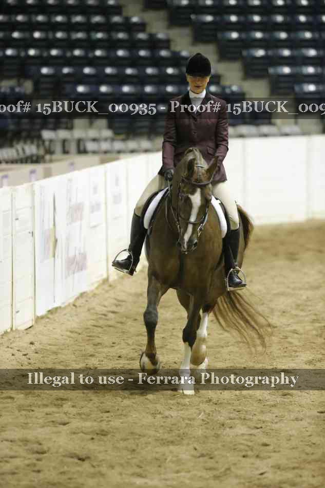 Proof 15BUCK_00935