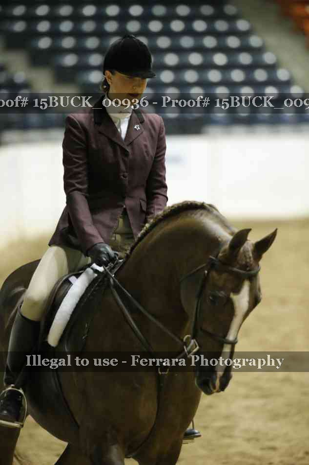 Proof 15BUCK_00936