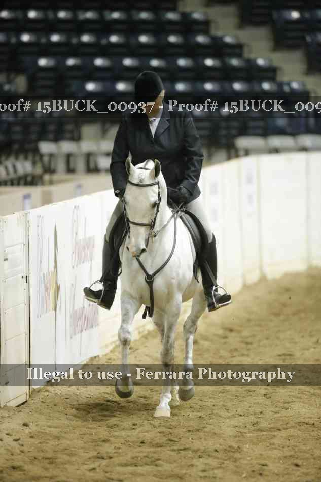 Proof 15BUCK_00937