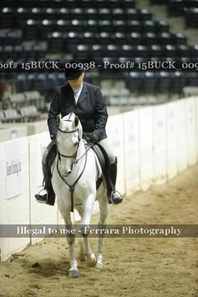Proof 15BUCK_00938