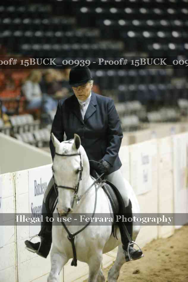 Proof 15BUCK_00939