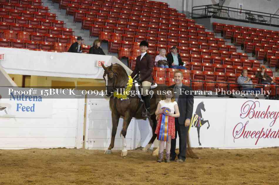 Proof 15BUCK_00941