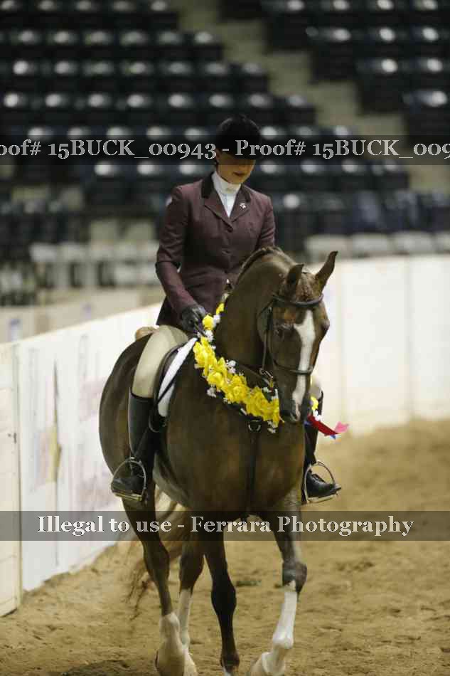 Proof 15BUCK_00943