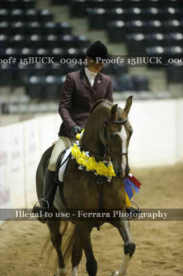 Proof 15BUCK_00944