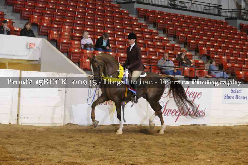 Proof 15BUCK_00945