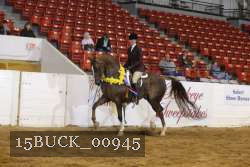 15BUCK_00945 proof