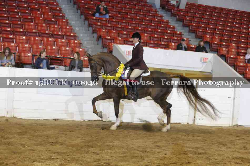 Proof 15BUCK_00946
