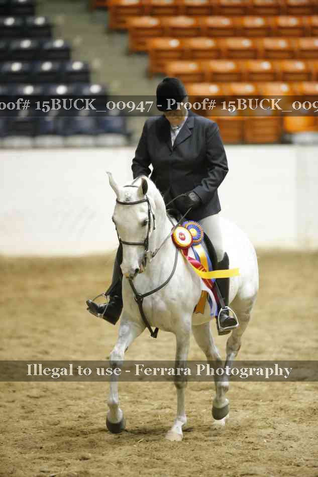 Proof 15BUCK_00947
