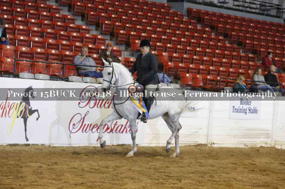Proof 15BUCK_00948