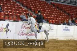 15BUCK_00948 proof