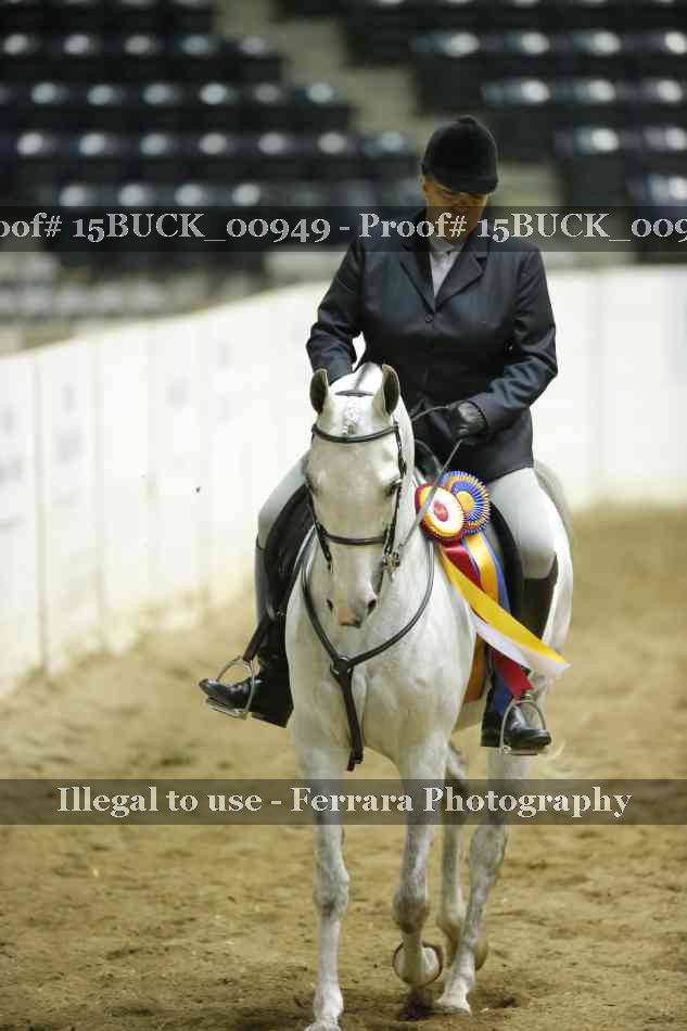 Proof 15BUCK_00949