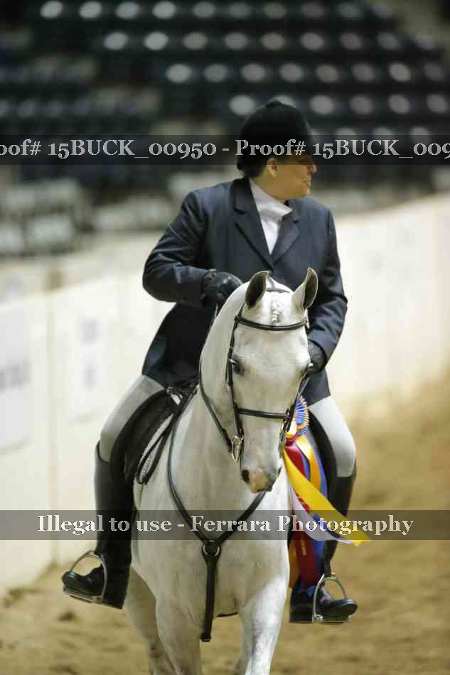 Proof 15BUCK_00950